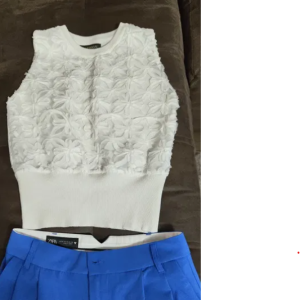 Zara pants..new + white top