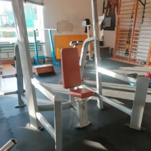 shoulder press bench