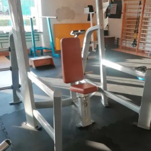 shoulder press bench