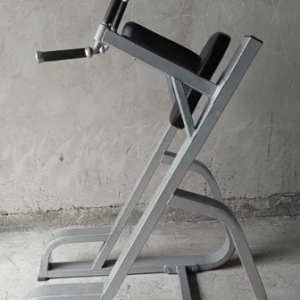 Triceps stand chest abs PRECOR dips gym olymp hes hbp npg