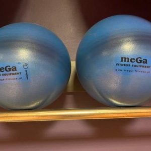 Small fitness gym ball